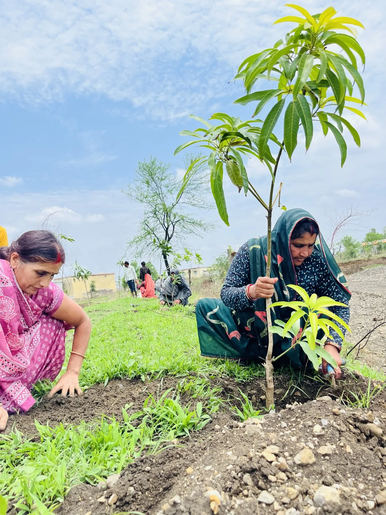 The Dehati Foundation plantation drive and community activities - photo 8