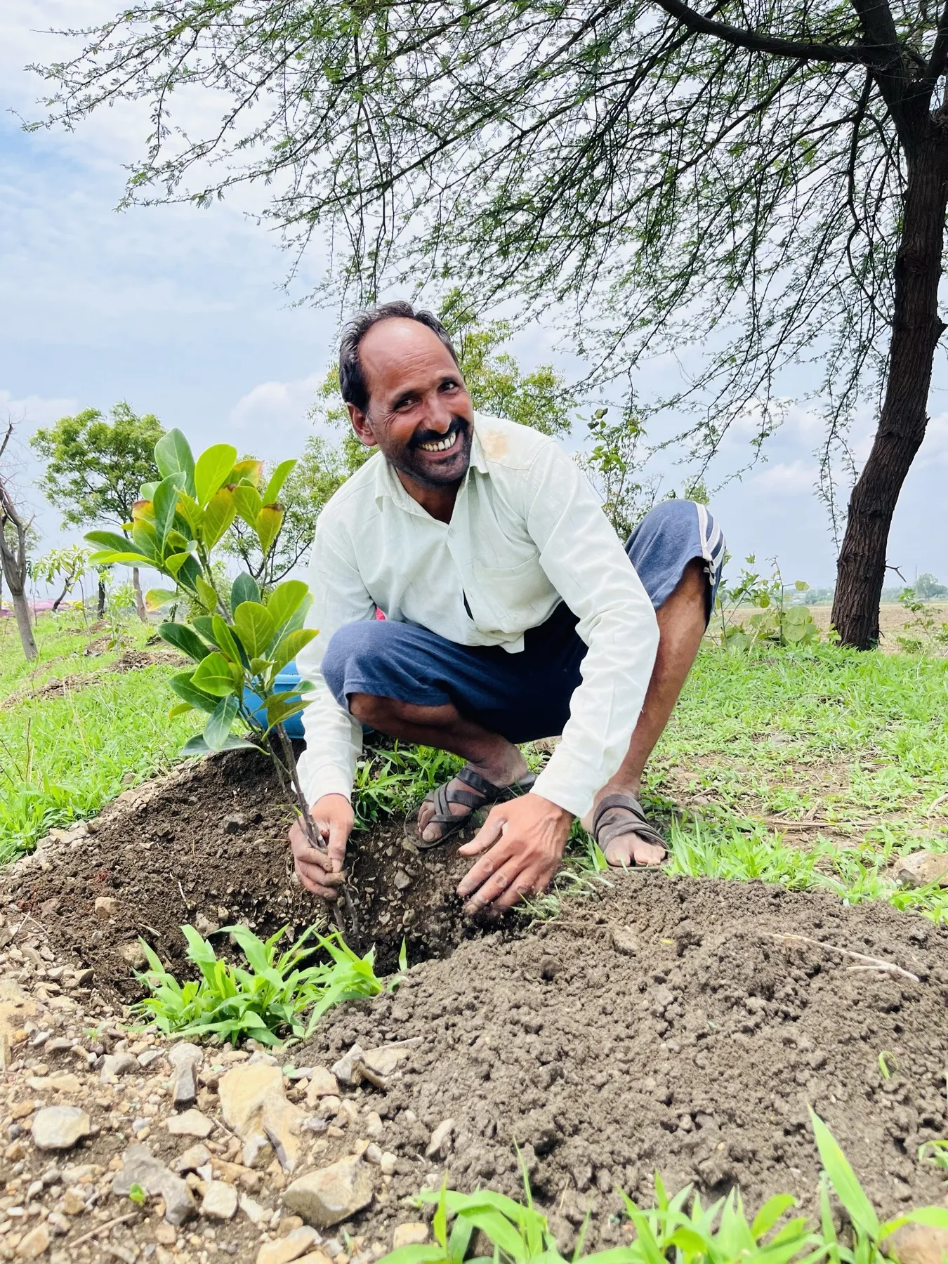 The Dehati Foundation plantation drive and community activities - photo 9