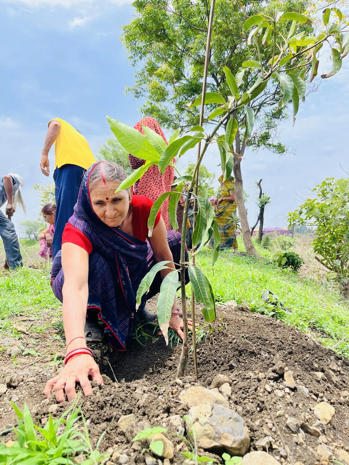The Dehati Foundation plantation drive and community activities - photo 10