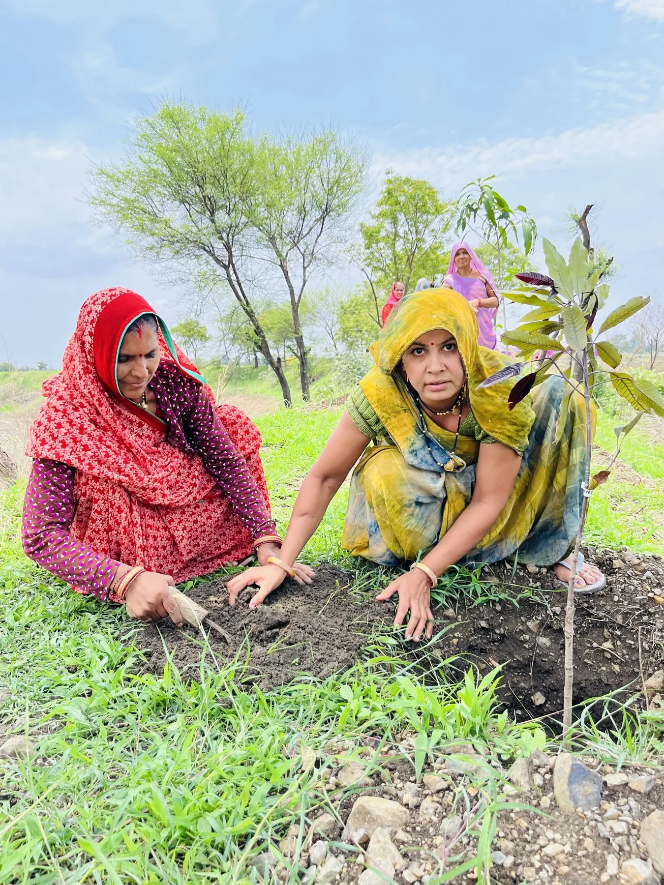 The Dehati Foundation plantation drive and community activities - photo 11