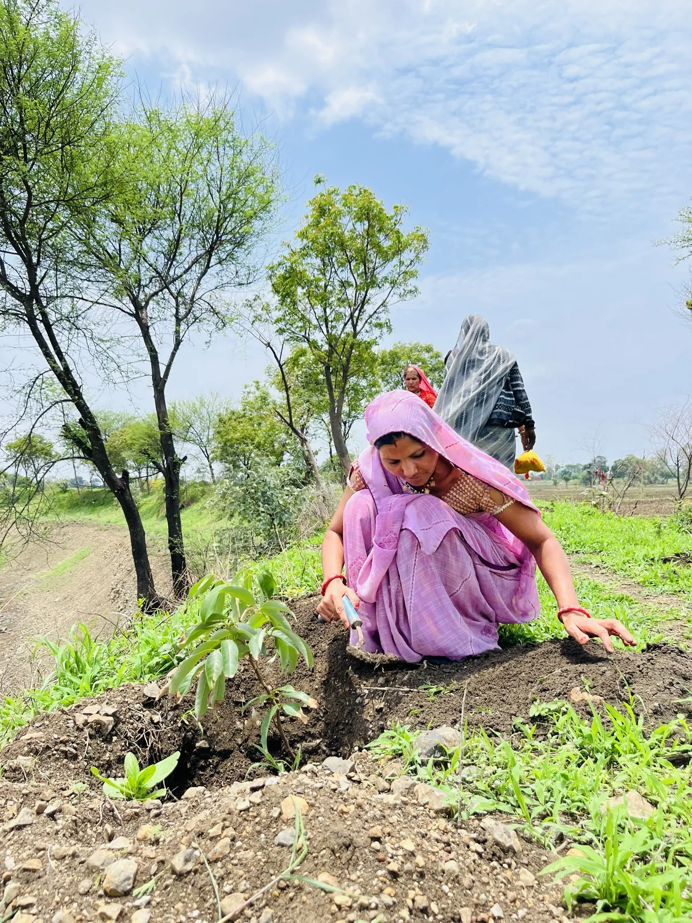 The Dehati Foundation plantation drive and community activities - photo 12