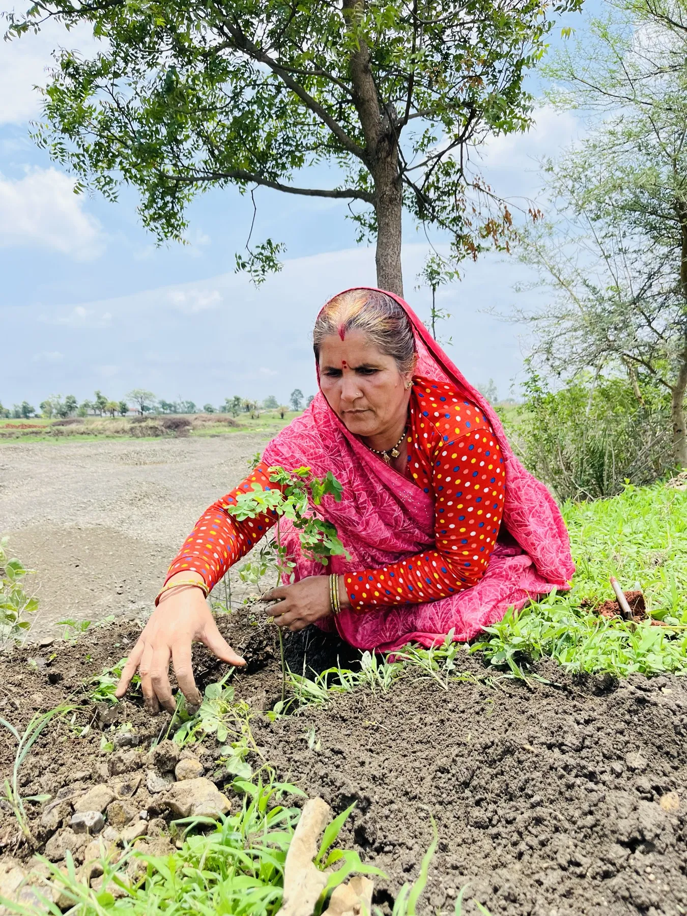 The Dehati Foundation plantation drive and community activities - photo 18